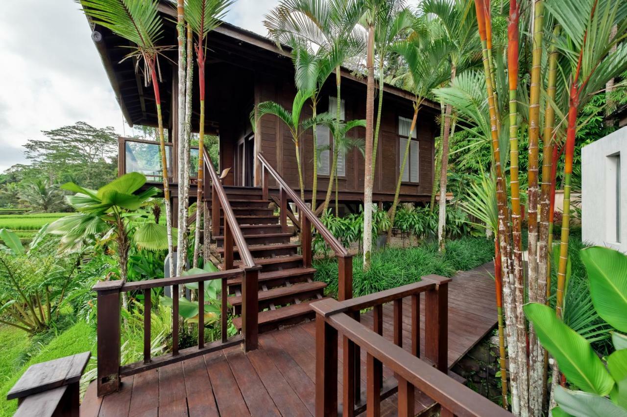 Villa Kembang Bali Ubud Esterno foto